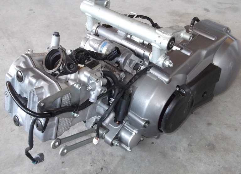 SUZUKI BOURGMAN AN …