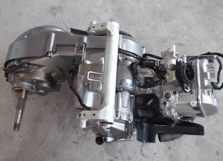 SUZUKI BOURGMAN AN …