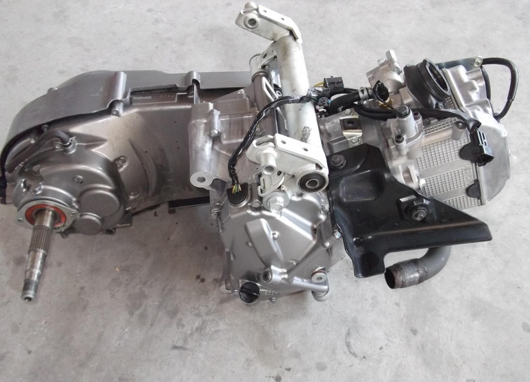 SUZUKI BOURGMAN AN …