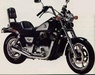 Honda Shadow ACE …